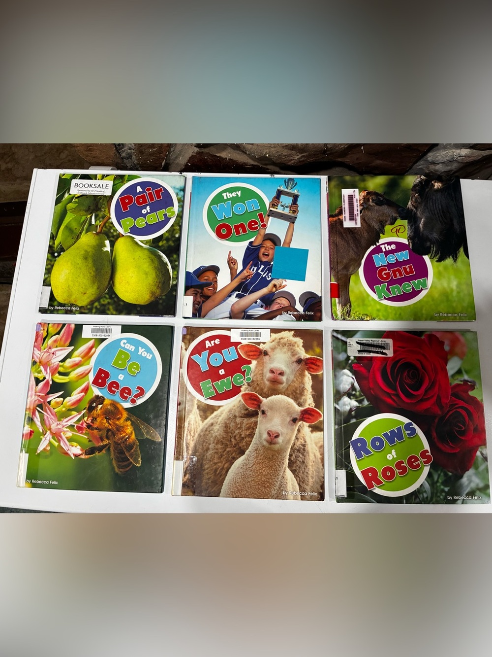 Set of 6 Homophone Books